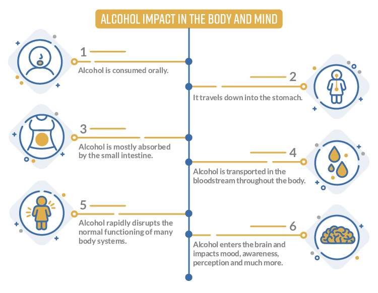 How Alcohol Impacts The Body Chart