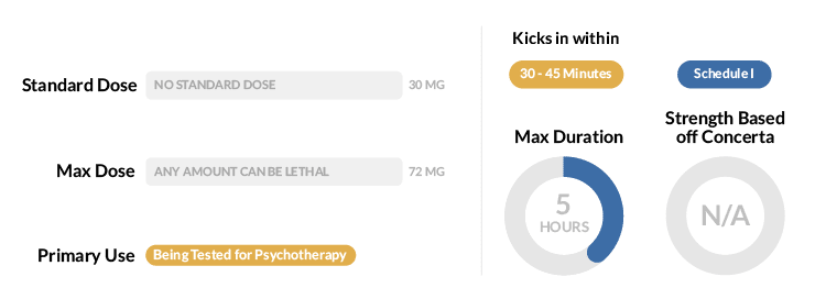 Ecstasy Statistics