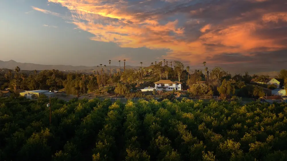 pH Wellness Alcohol and Drug Rehab Riverside California
